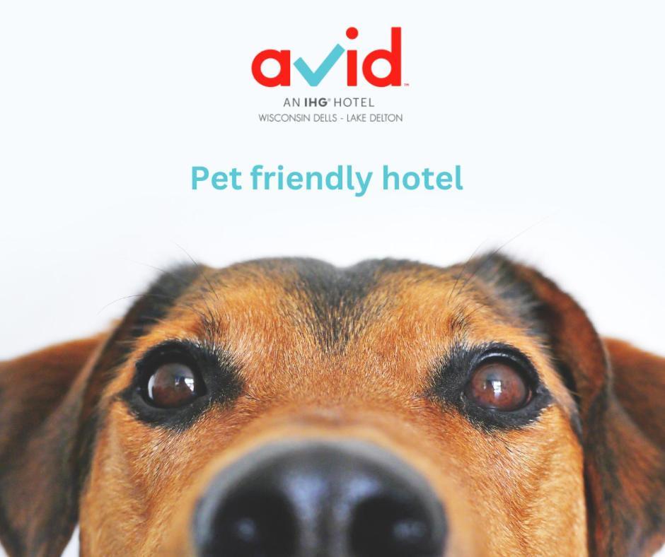 Avid Hotel Wisconsin Dells Lake Delton By Ihg מראה חיצוני תמונה